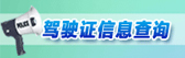 驾驶信息查询