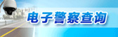 电子警察查询